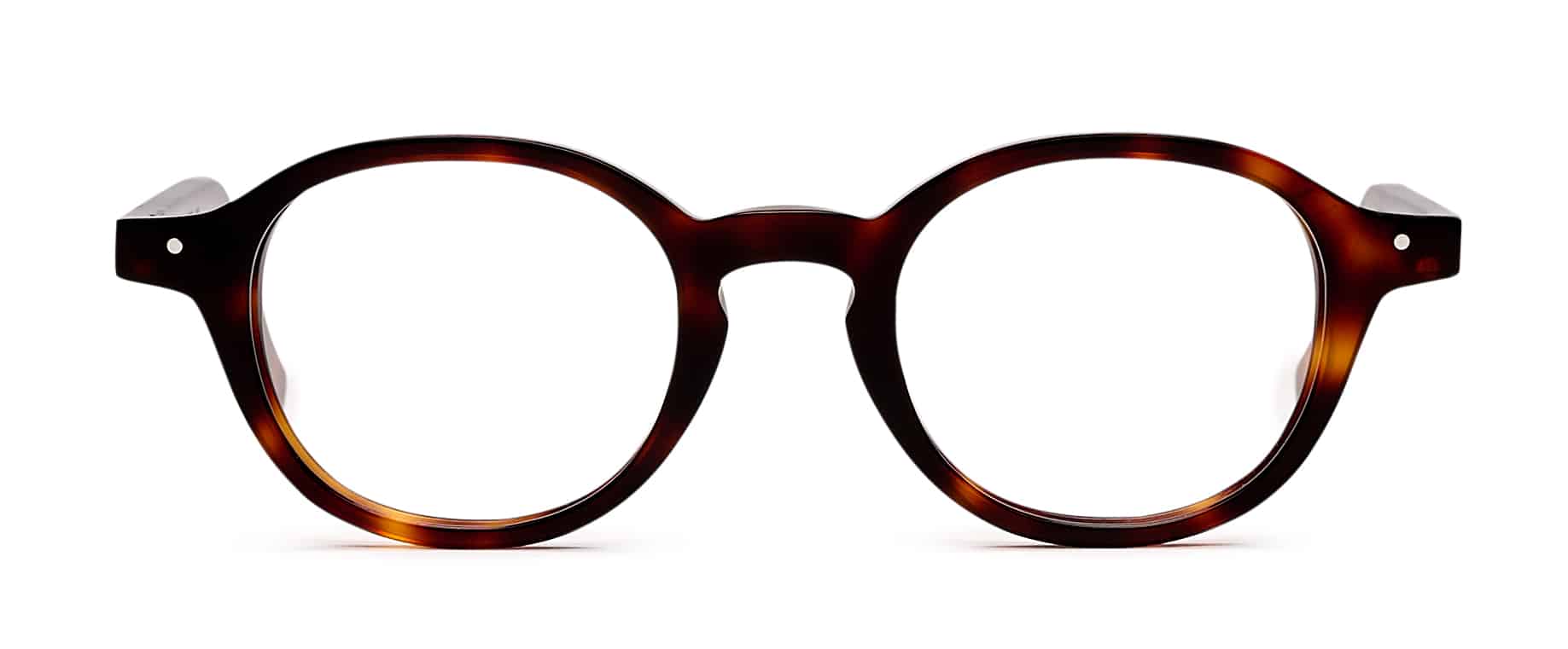 050 – Écaille foncée